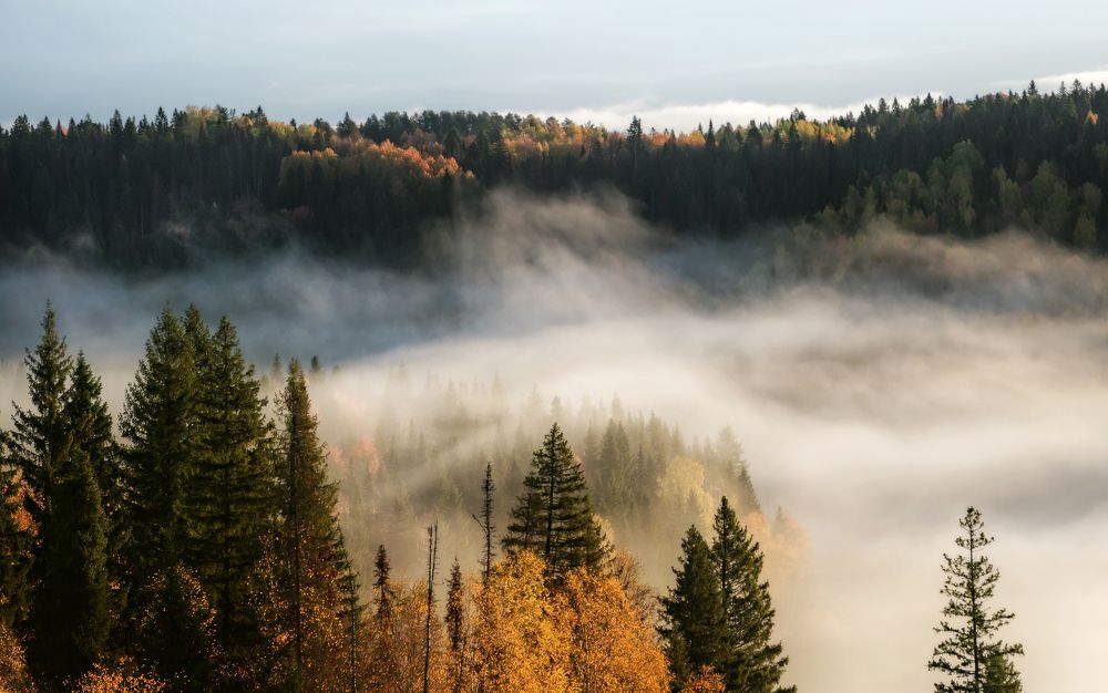 Photograph by Соколова Елена