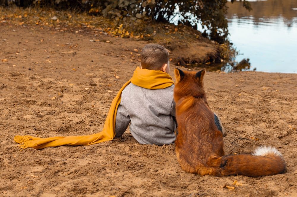 Photograph by Анна Авилочкина