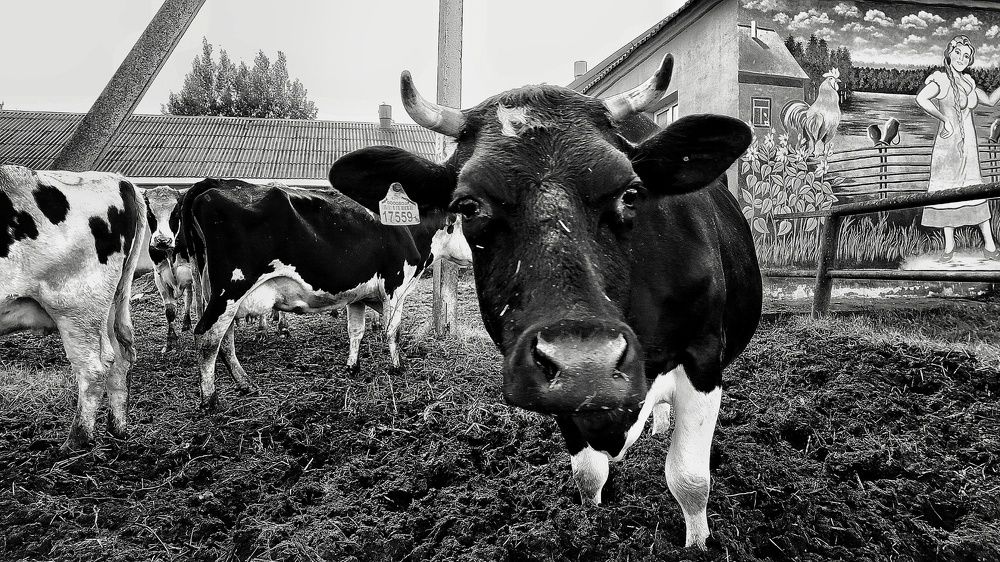 Photograph by Евгений Белов