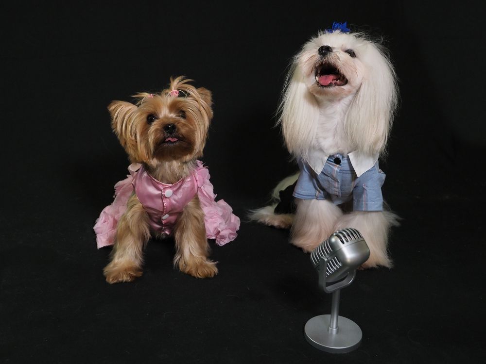 Photograph by Ilias Kapsomenakis