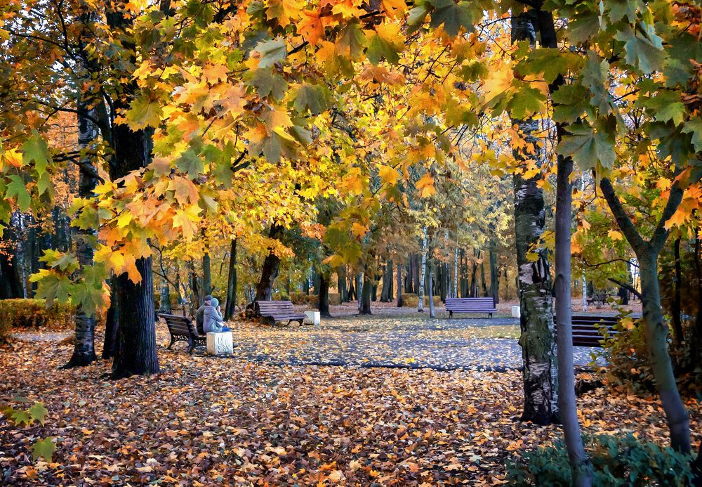 Photograph by Светлана Ващенко