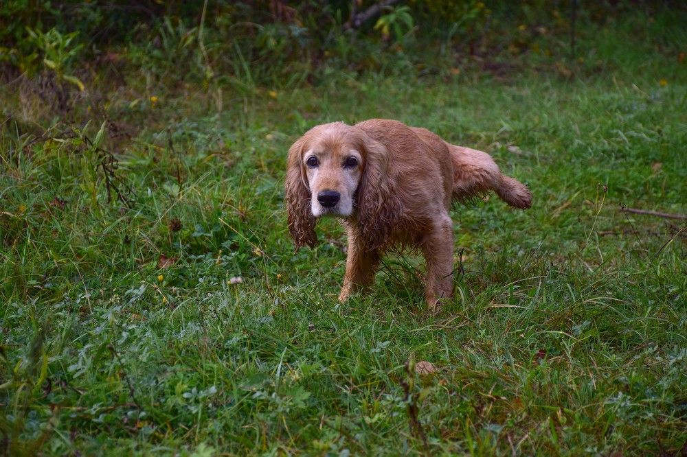 Photograph by Дмитрий Петров