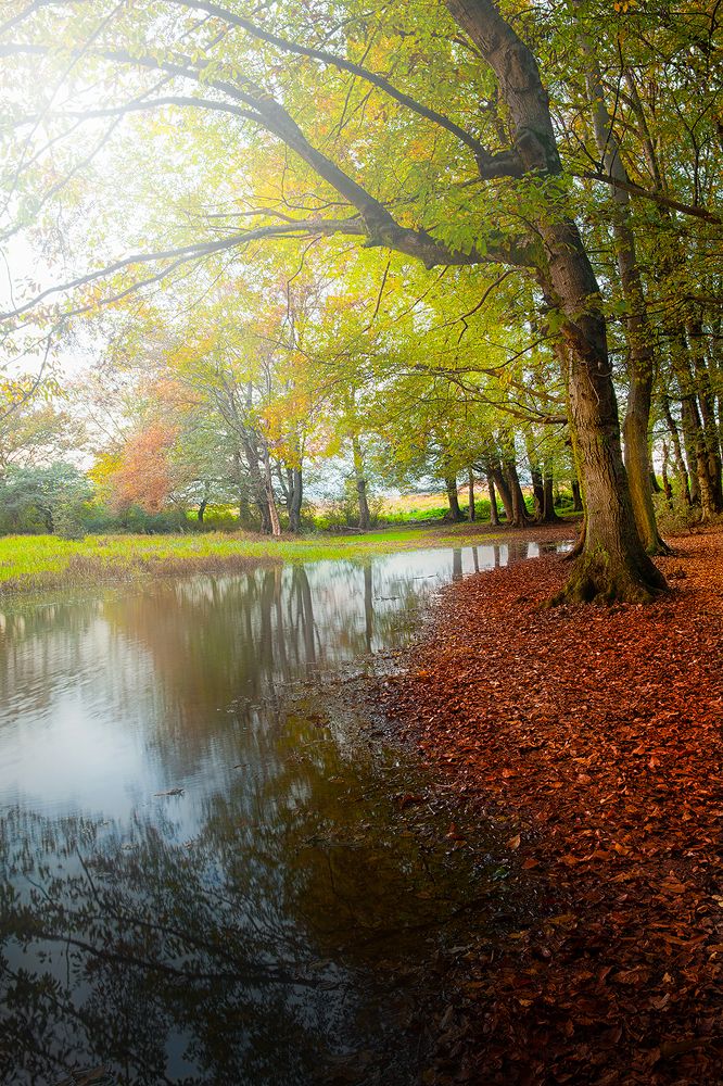 Фотография автора Ali Rouhi