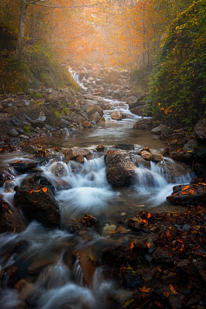 Photograph by Ali Rouhi