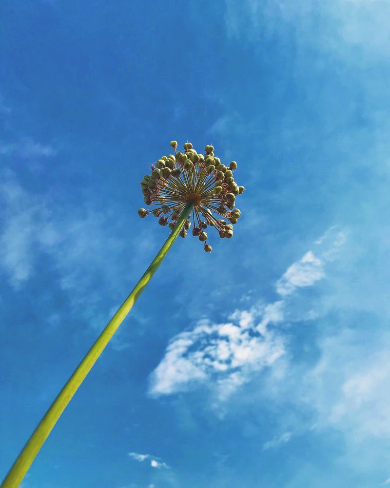 Photograph by Татьяна Волохова