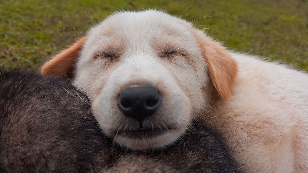 Photograph by mahdi ghanbari