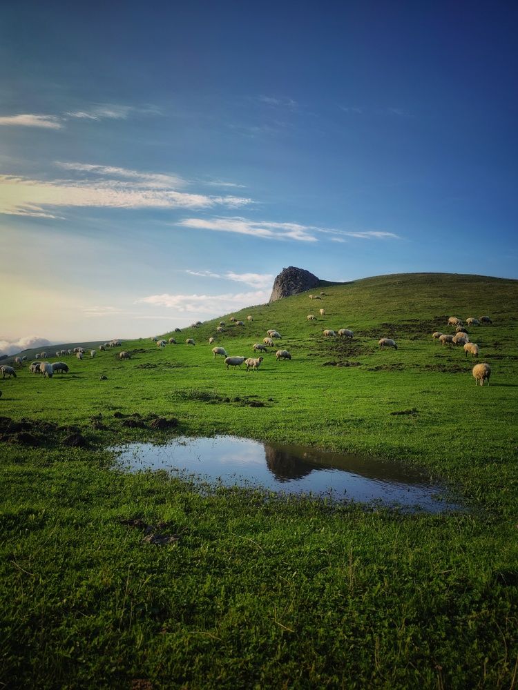 Photograph by Farid Golafshan