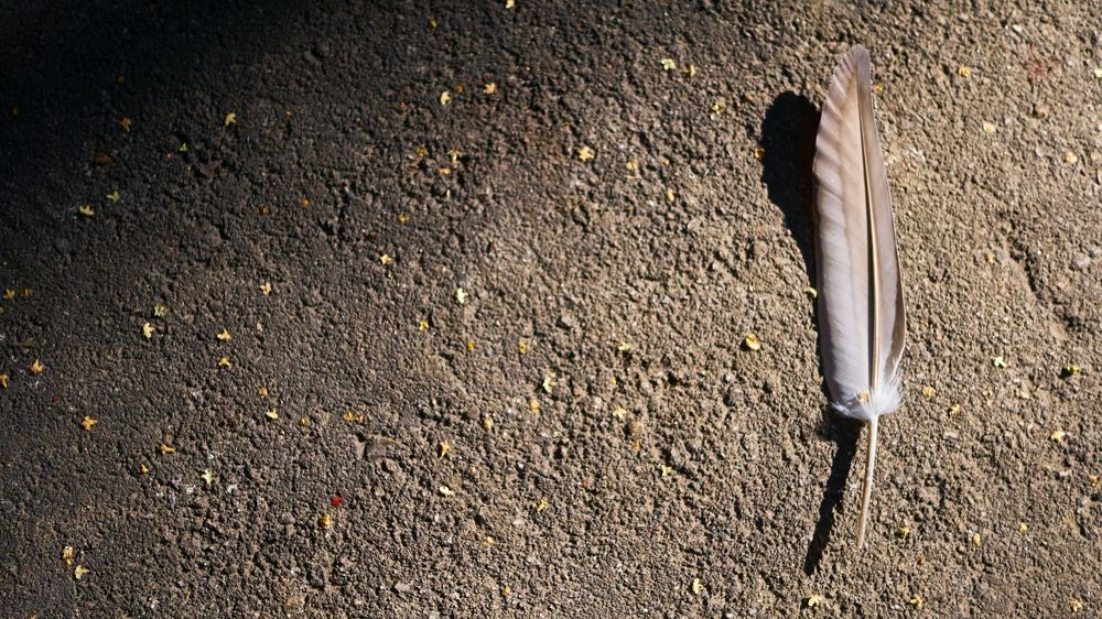 Photograph by Руслан Ибрагимов