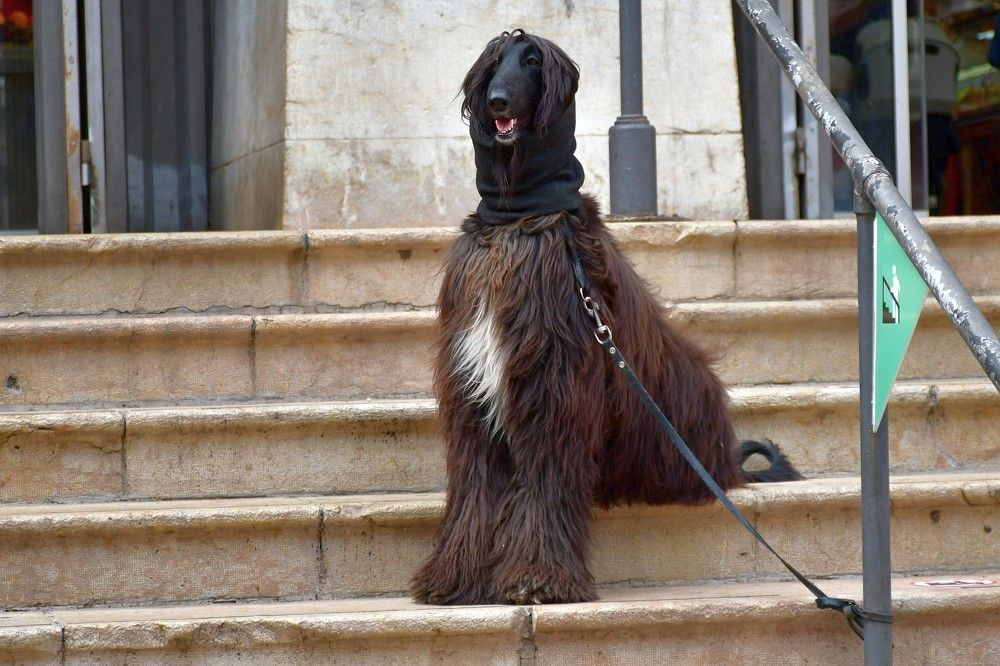 Photograph by Корнейчук Игорь