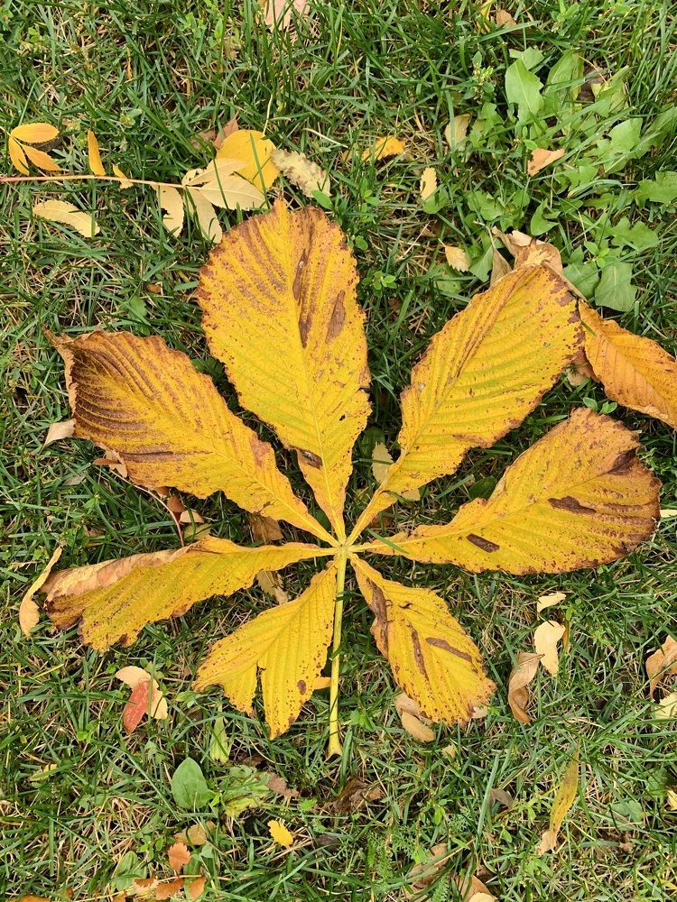 Photograph by Iuliia Govorunenko