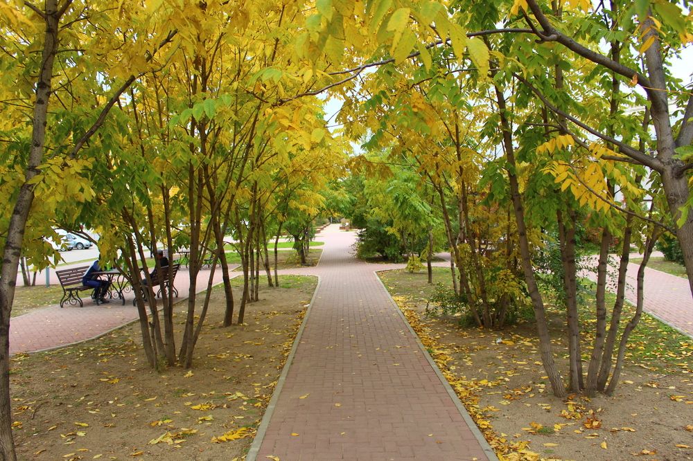 Photograph by Иван Крылов