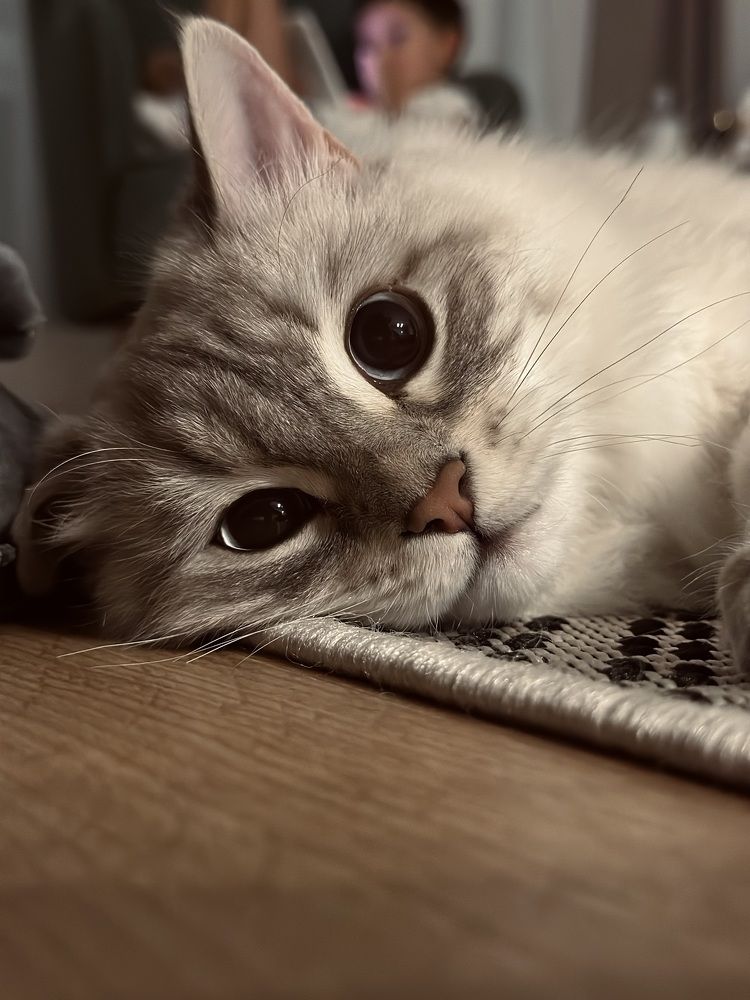 Photograph by Iuliia Govorunenko