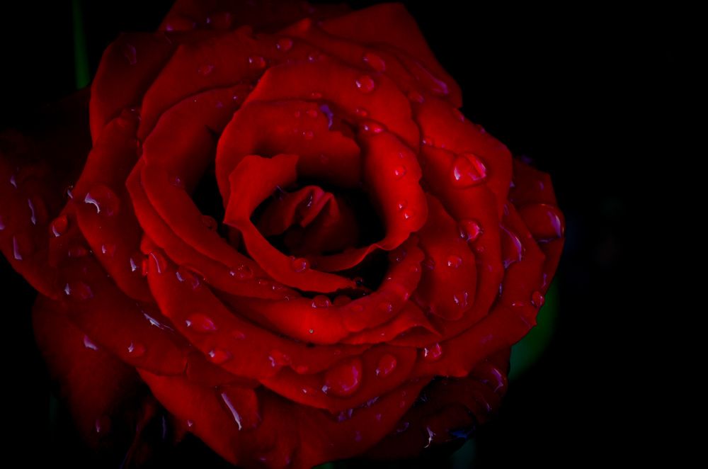 Photograph by Дарья Маркина