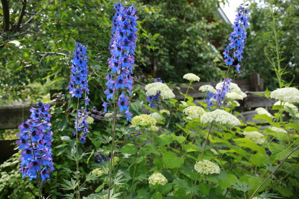 Photograph by Марина Юрченко