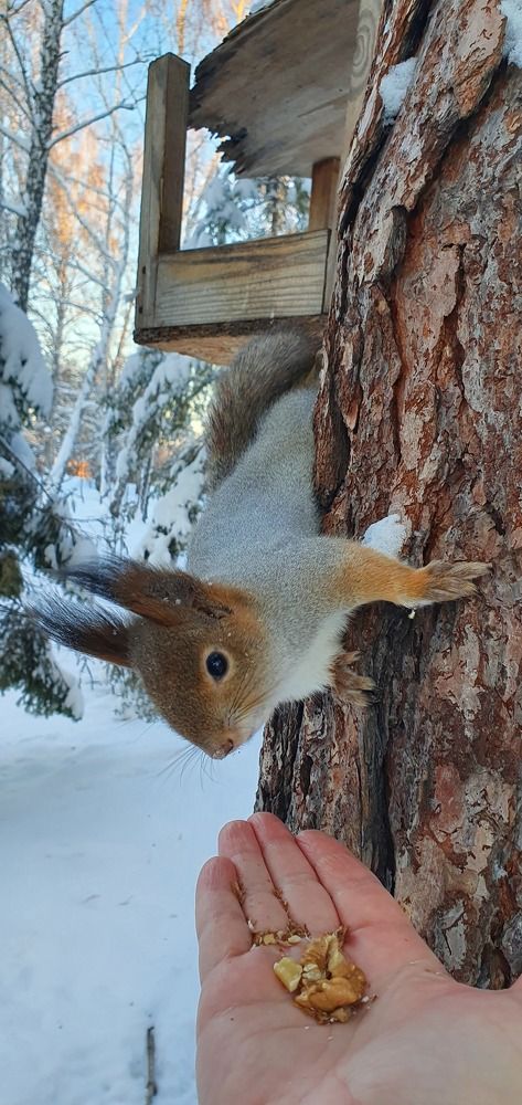 Photograph by Ольга