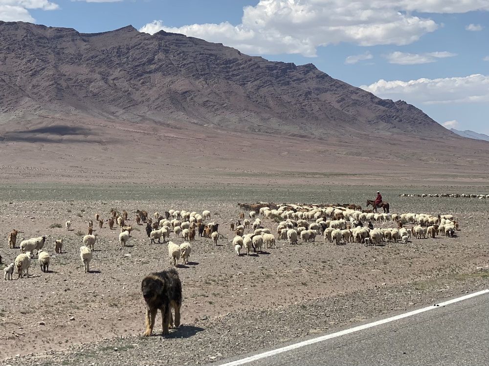 Фотография автора Ольга Горюнова