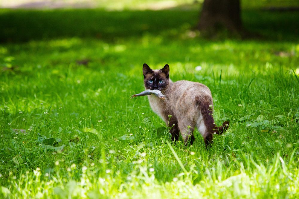 Photograph by Елена Сиднина