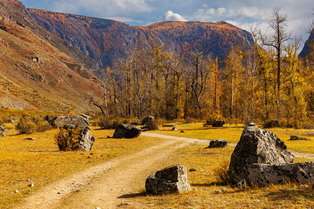 Photograph by Людмила Аксенова