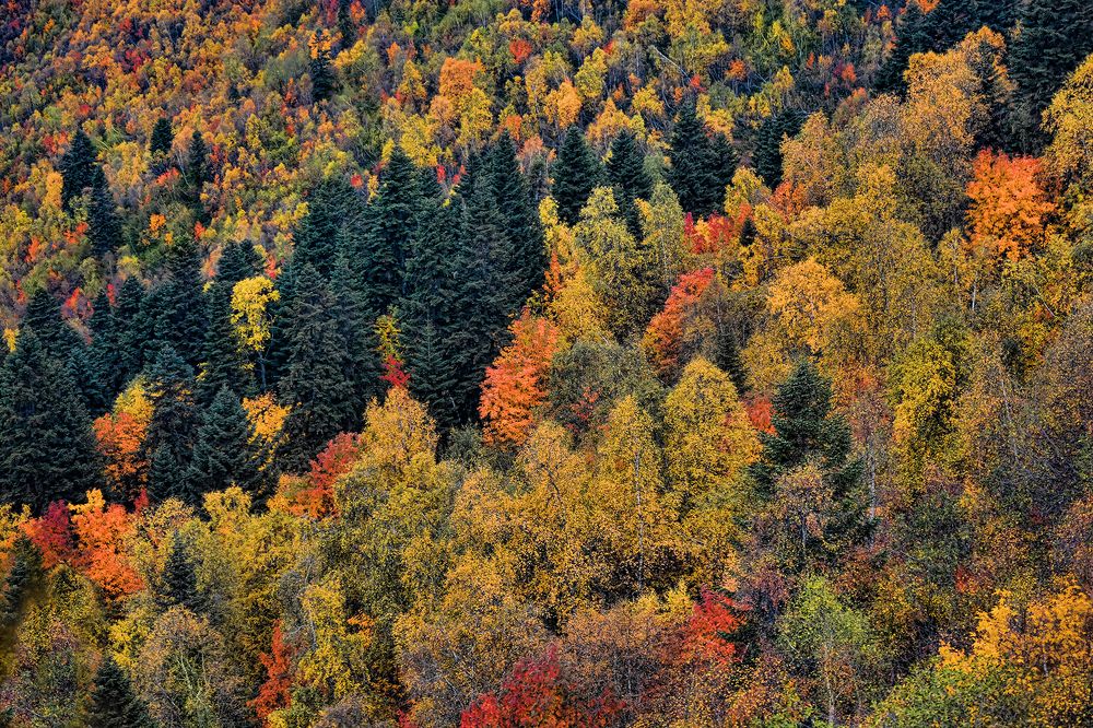 Photograph by Сергей Шварцман