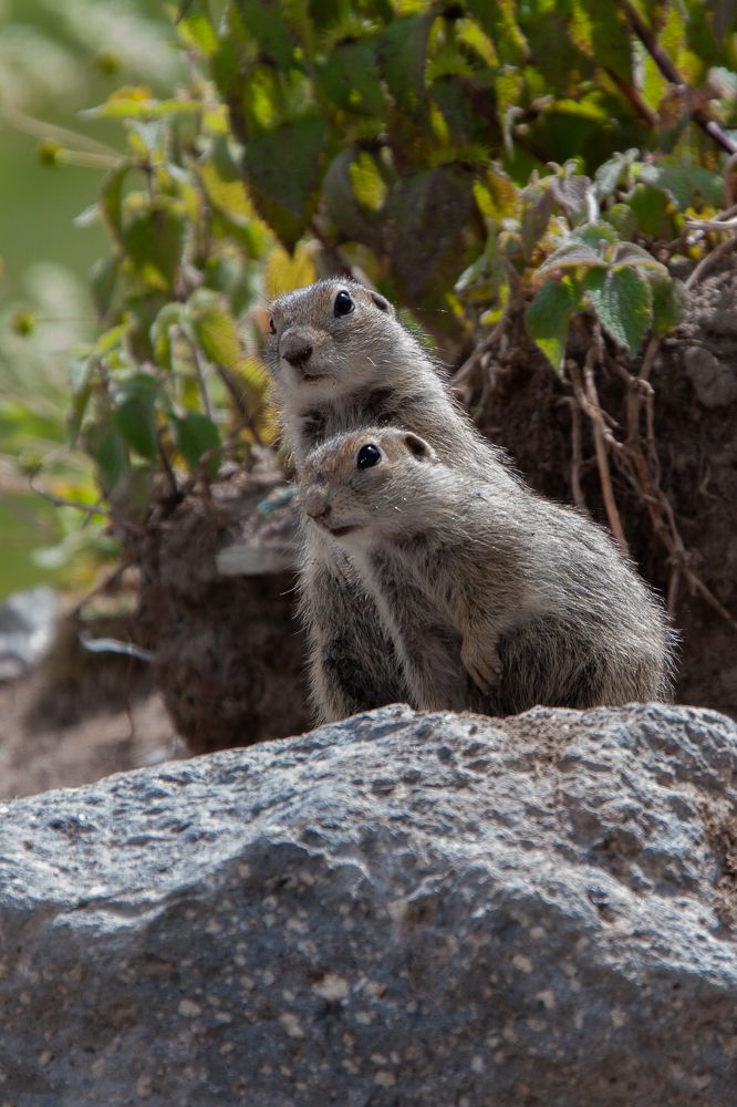 Photograph by Виталий Маслов