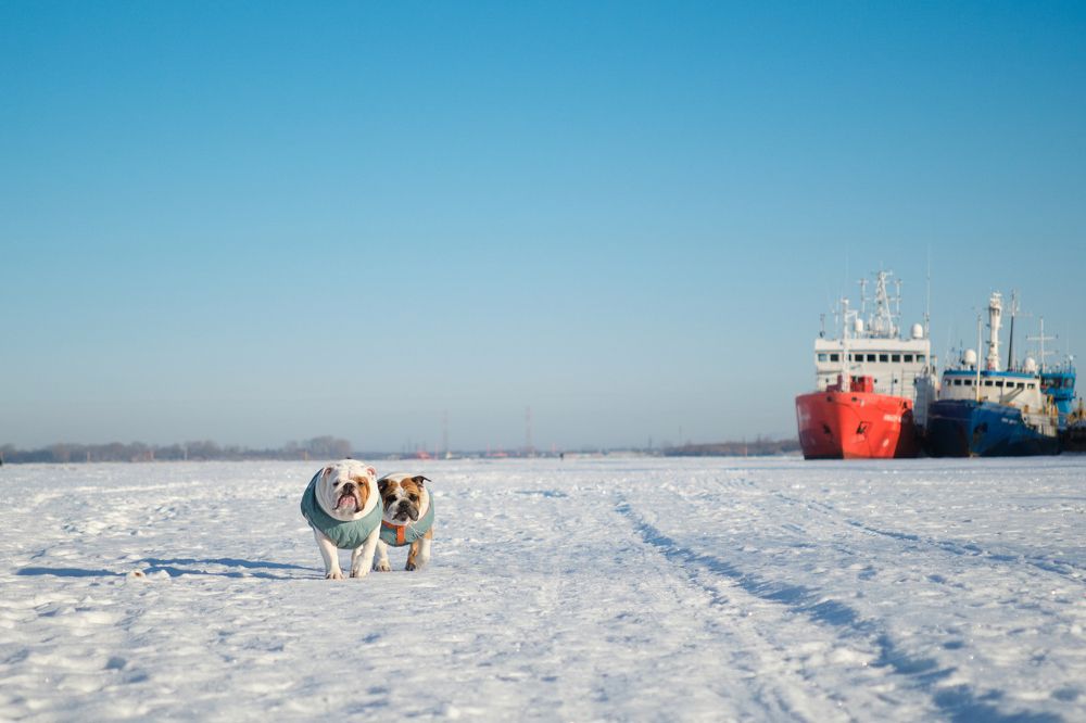 Фотография автора Вячеслав Аркадьевич Митрофанов