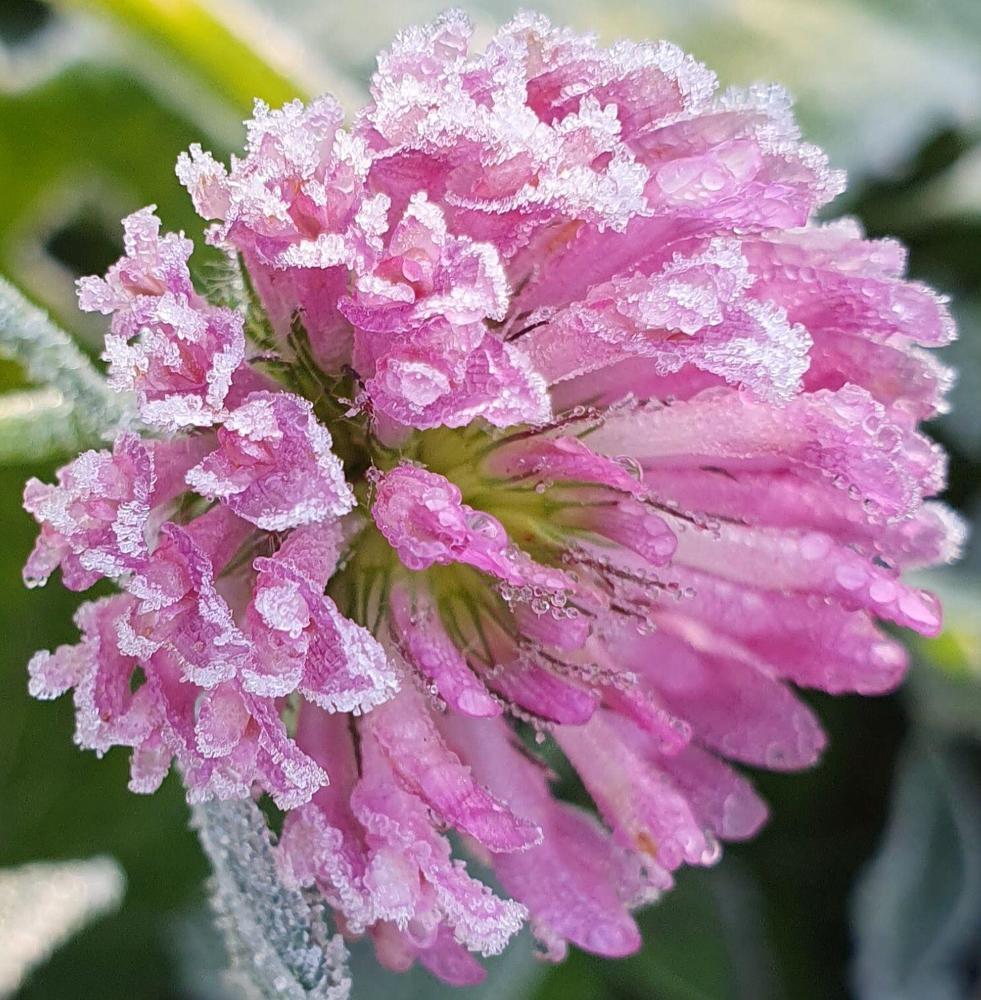 Photograph by Жанна Регор