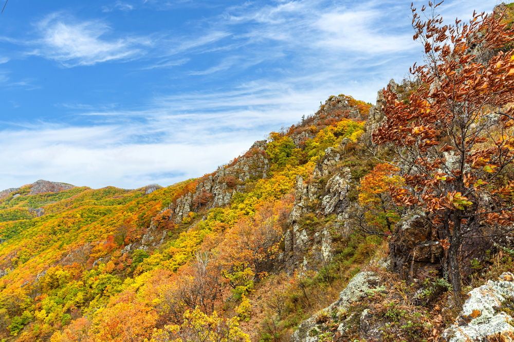 Осенний Сихотэ-Алинь