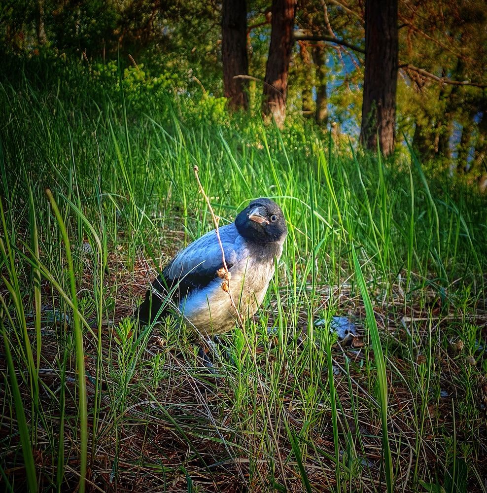 Photograph by Evgenia Privalova