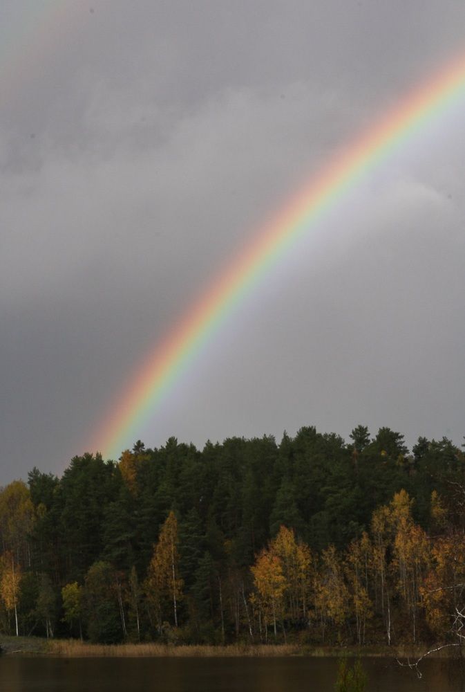 Photograph by МАРИНА