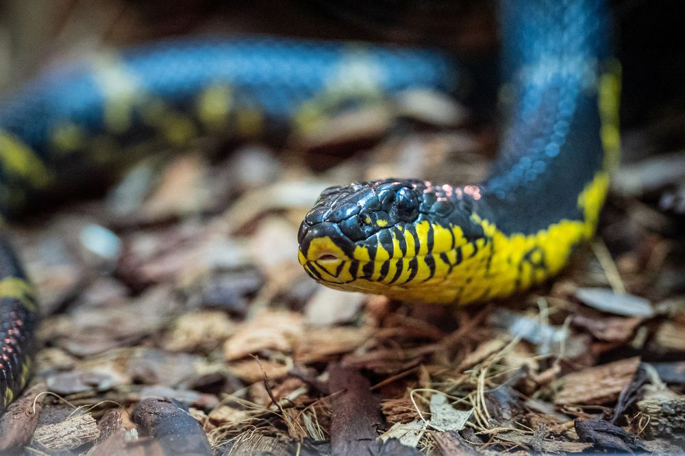 Photograph by Аверина Елена