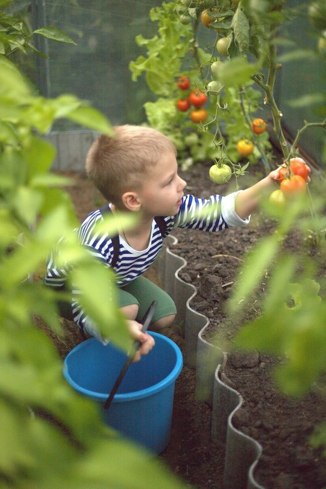 Photograph by Наталья  Тапилкина