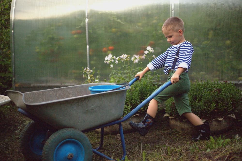 Photograph by Наталья  Тапилкина