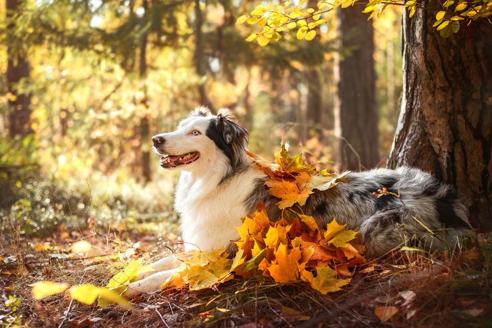 Photograph by Соколова Елена