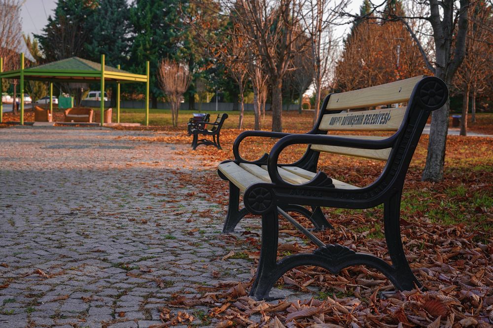 Photograph by Дашдемир Мамедов