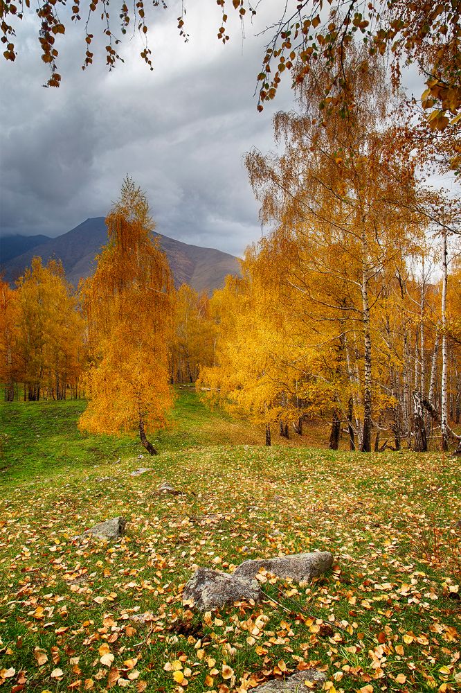 Осенняя пора