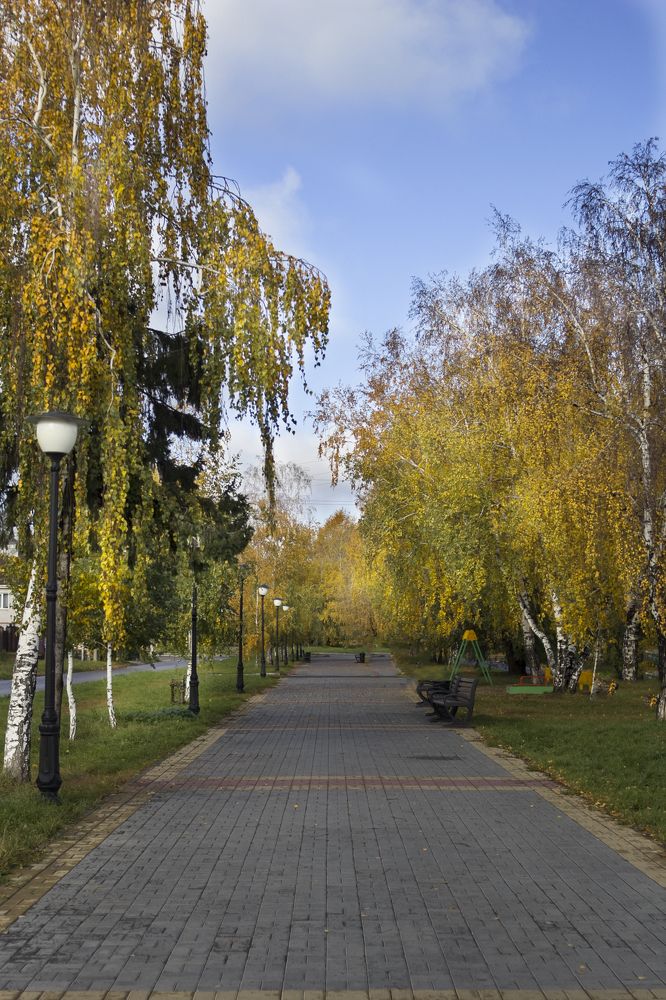 Photograph by Татьяна Шахматова