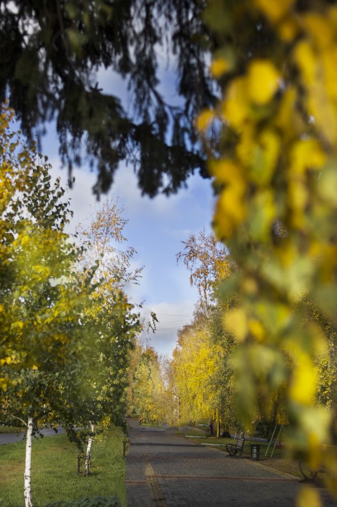 Photograph by Татьяна Шахматова