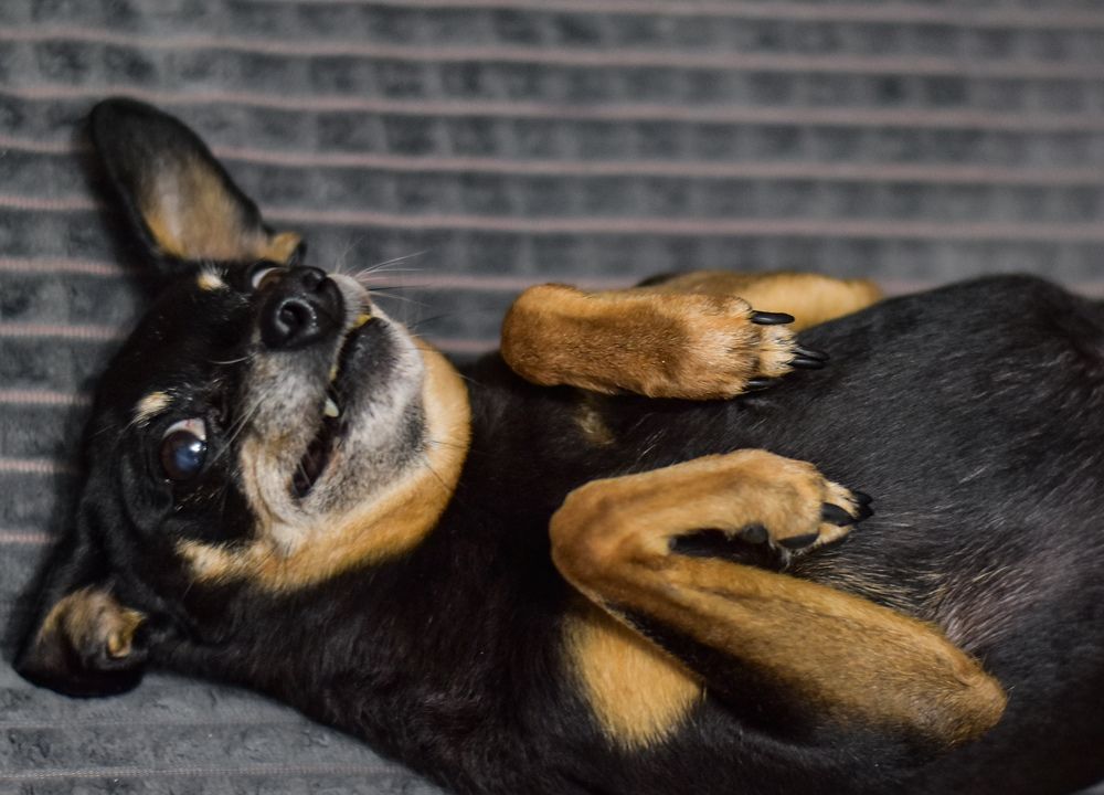 Photograph by Наталья Ситова