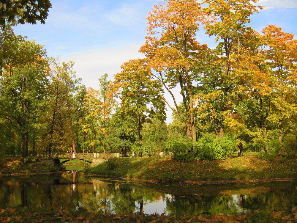 Photograph by Юлия Сахарова