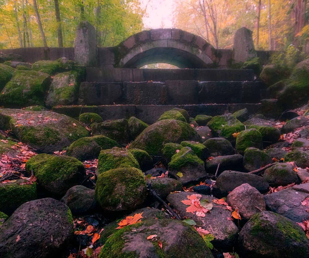 Photograph by Александр Смыков