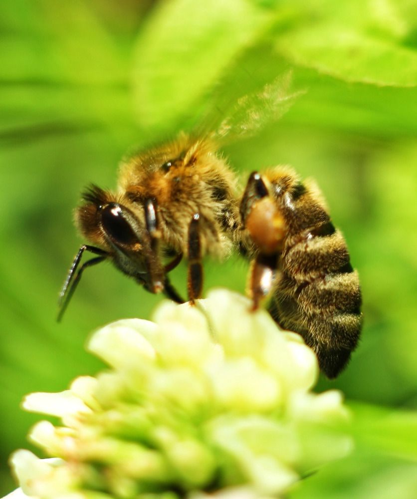 Фотография автора Галина Спирина