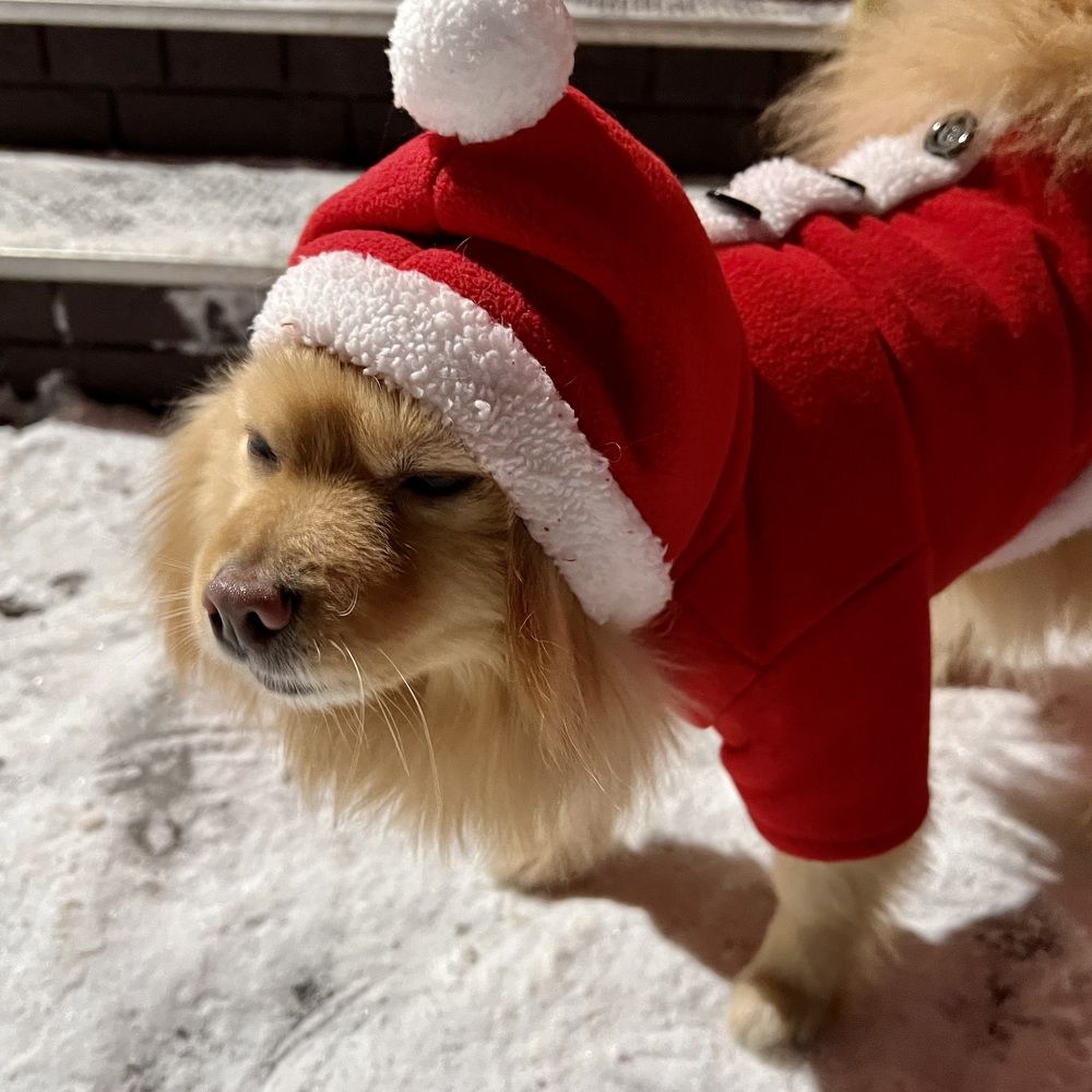 Photograph by Олег Банковский