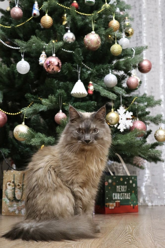 Photograph by Инна Шикуева