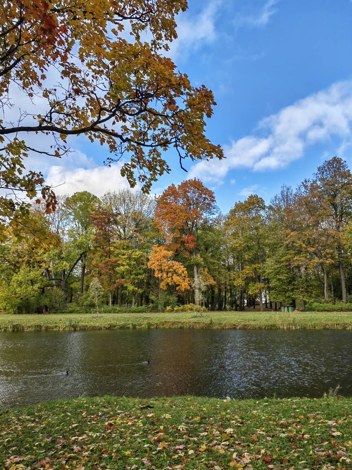Photo #9677116