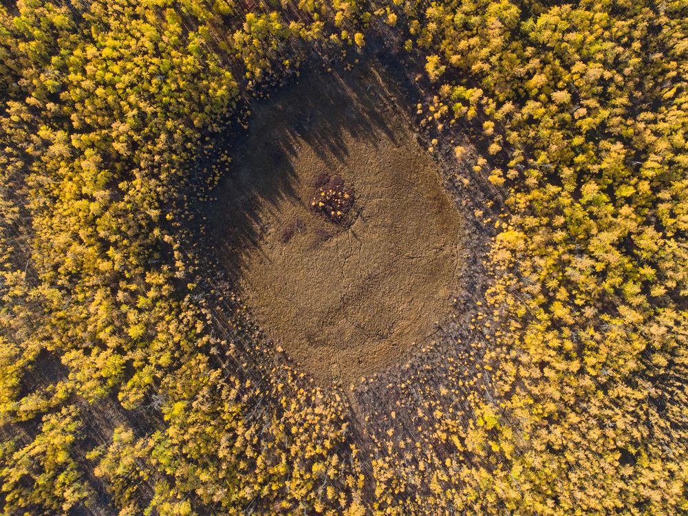 Photograph by Дмитрий Бочкарёв