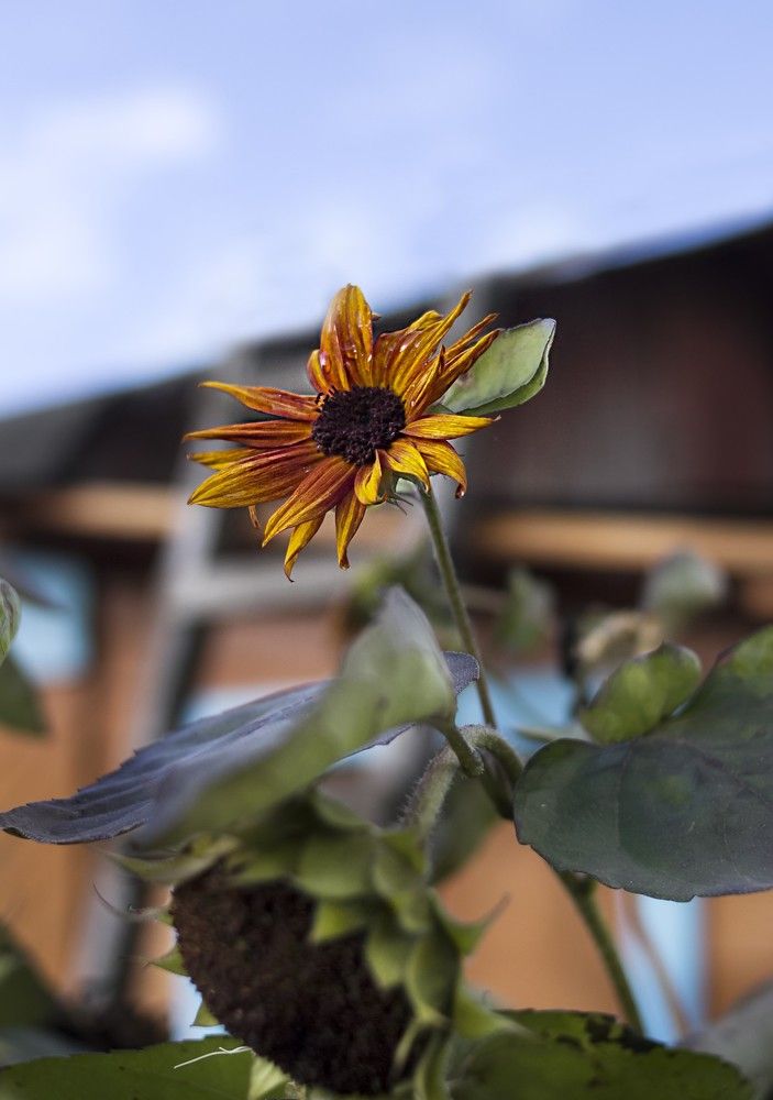 Photograph by Татьяна Шахматова