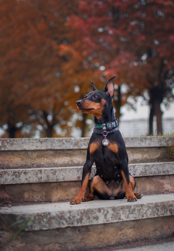 Photograph by Людмила Подольская