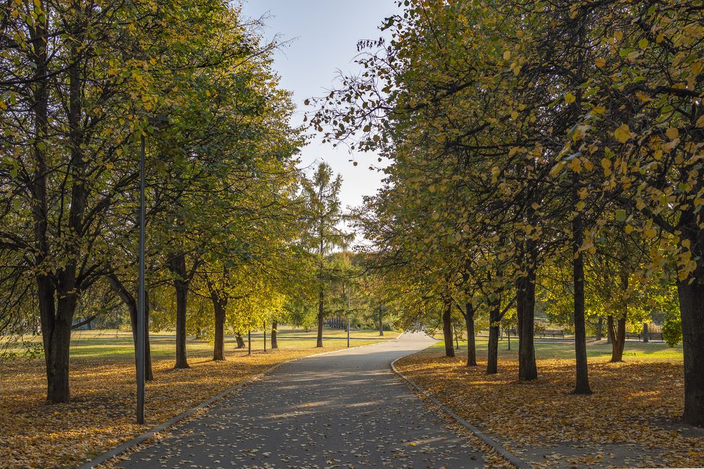 Photograph by Ирина Серегина