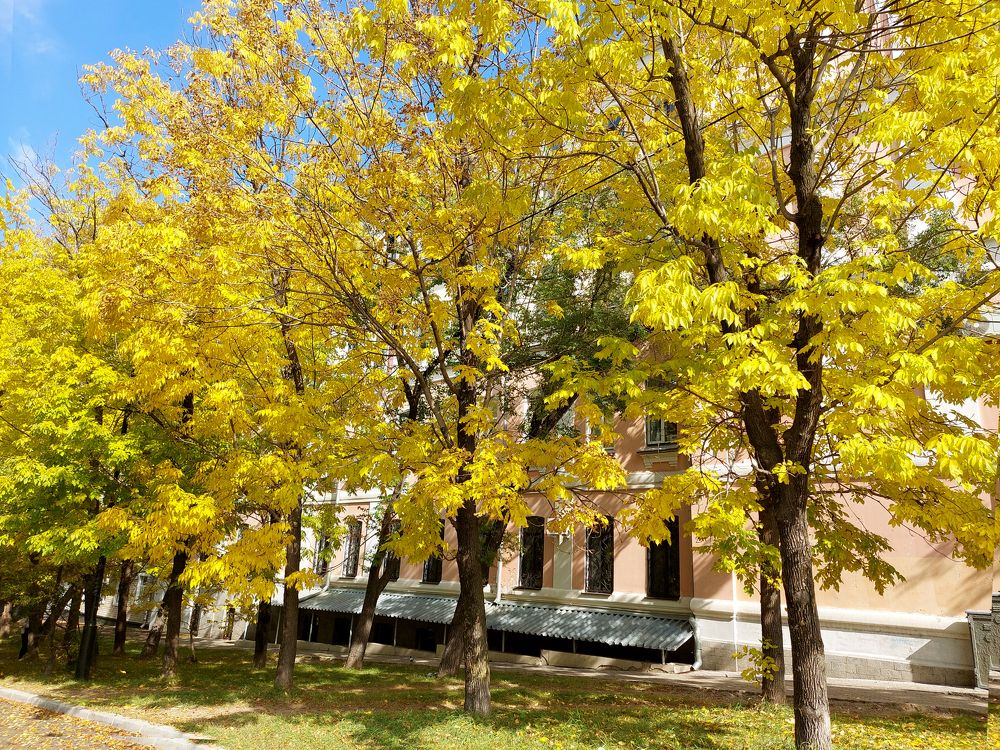 Photograph by Юлия Сахарова