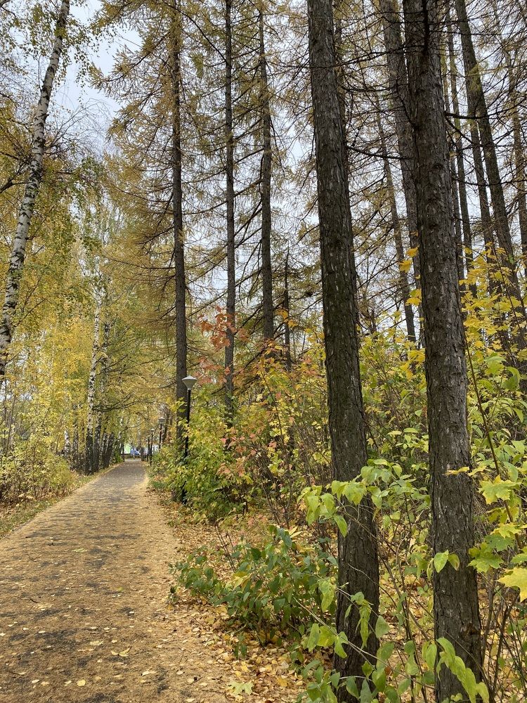 Photograph by Гузэль